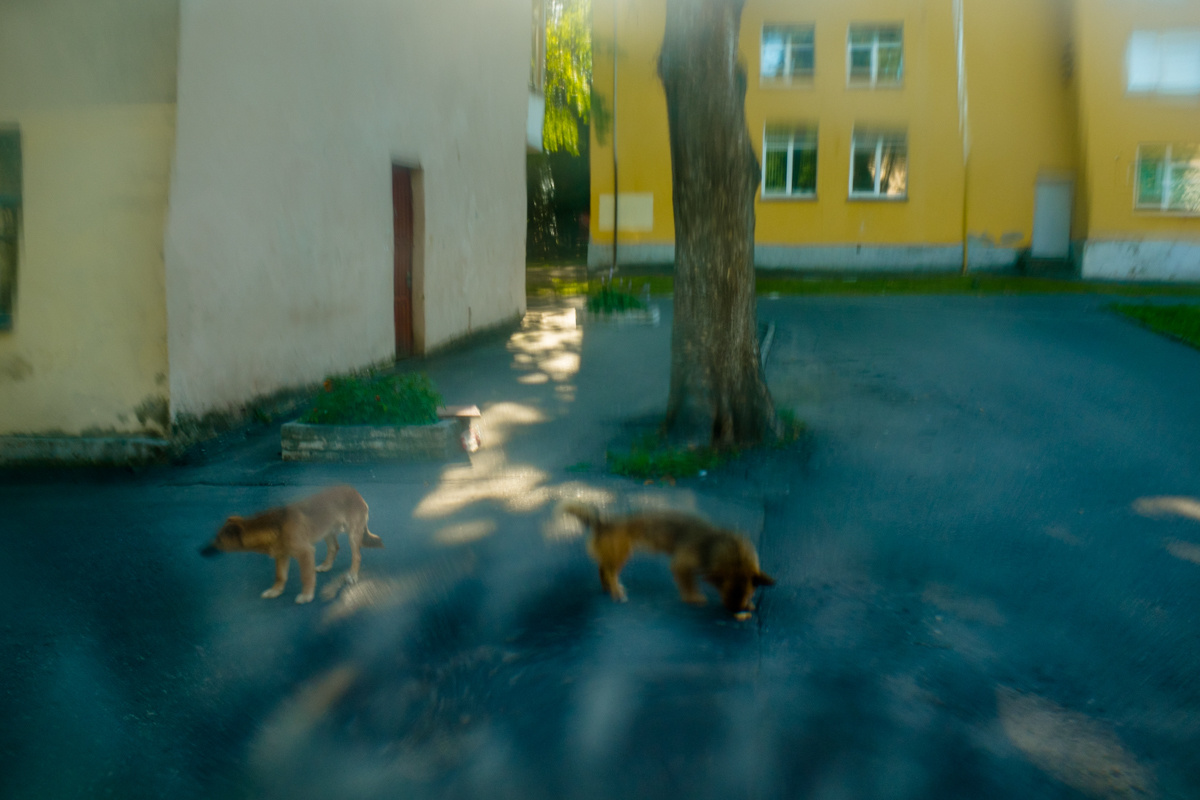In memory of Marc Chagall. Alyona Kochetkova | Photographer and photography educator