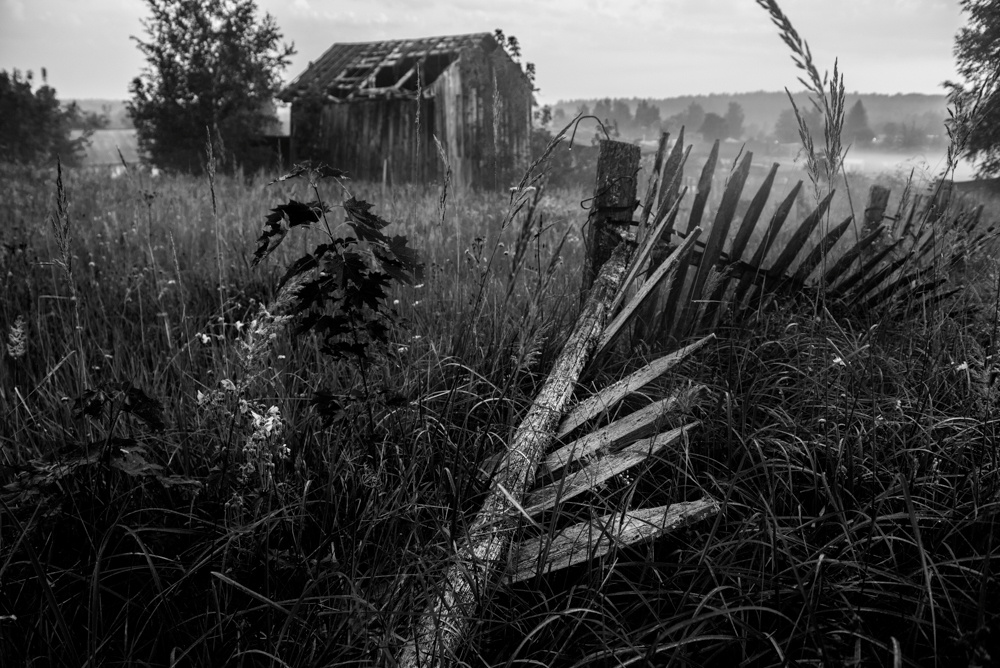 Motherlands. Alyona Kochetkova | Photographer and photography educator