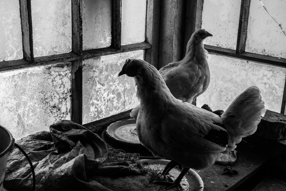 Motherlands. Alyona Kochetkova | Photographer and photography educator