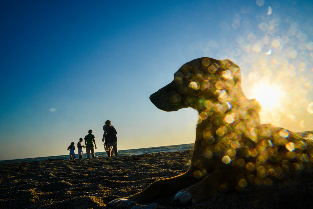 Одиночные фотографии. Алёна Кочеткова | фотограф и преподаватель фотографии