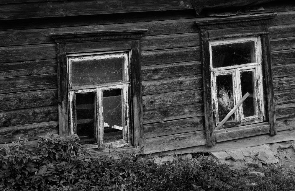 Motherlands. Alyona Kochetkova | Photographer and photography educator