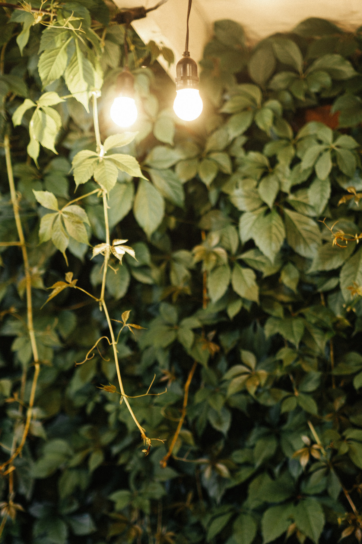 29. Свадебный и семейный фотограф Барнаул Рубцовск Бийск Алтайский край