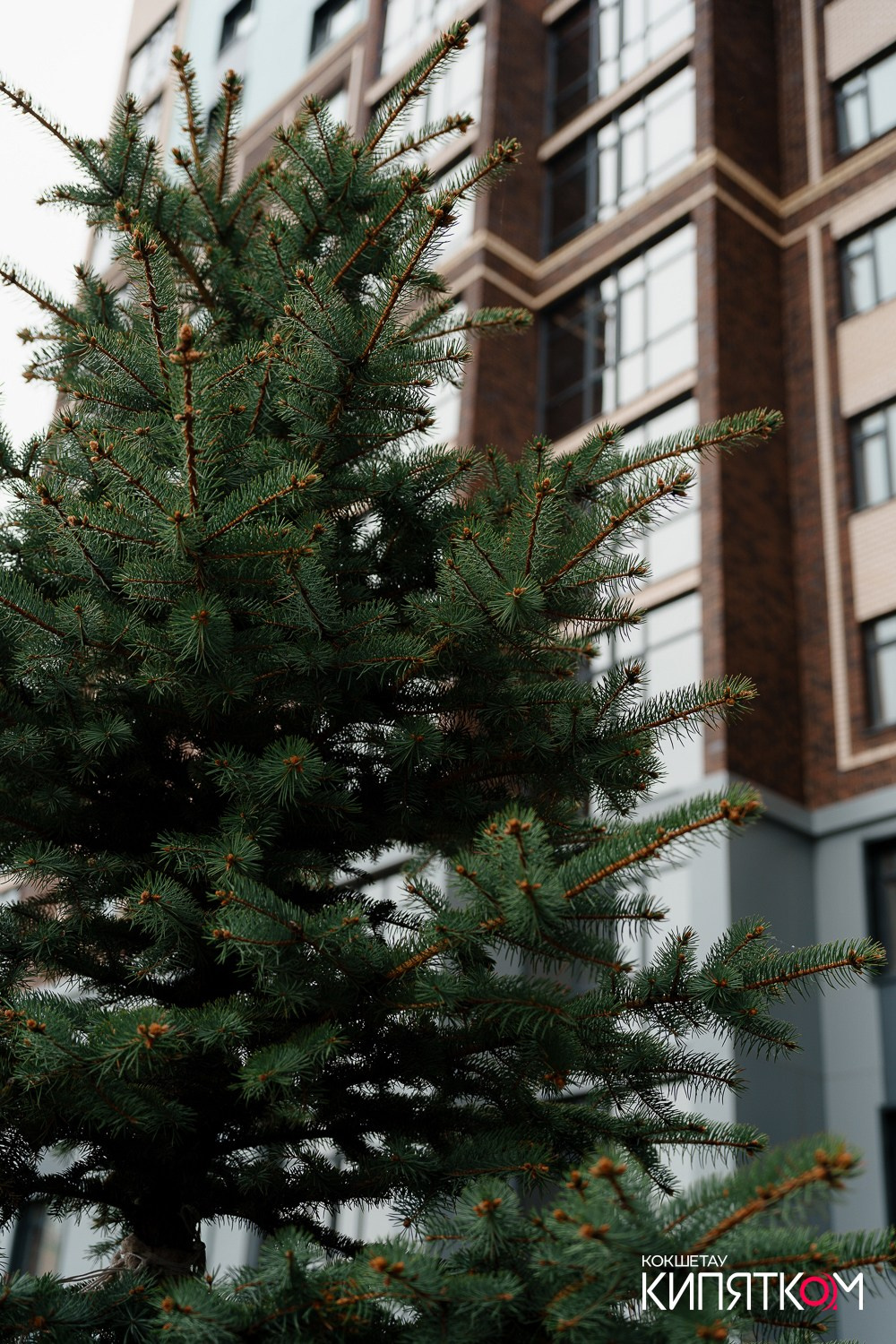 ЖК TUMAR DELUXE. КИПЯТКОМ КОКШЕТАУ