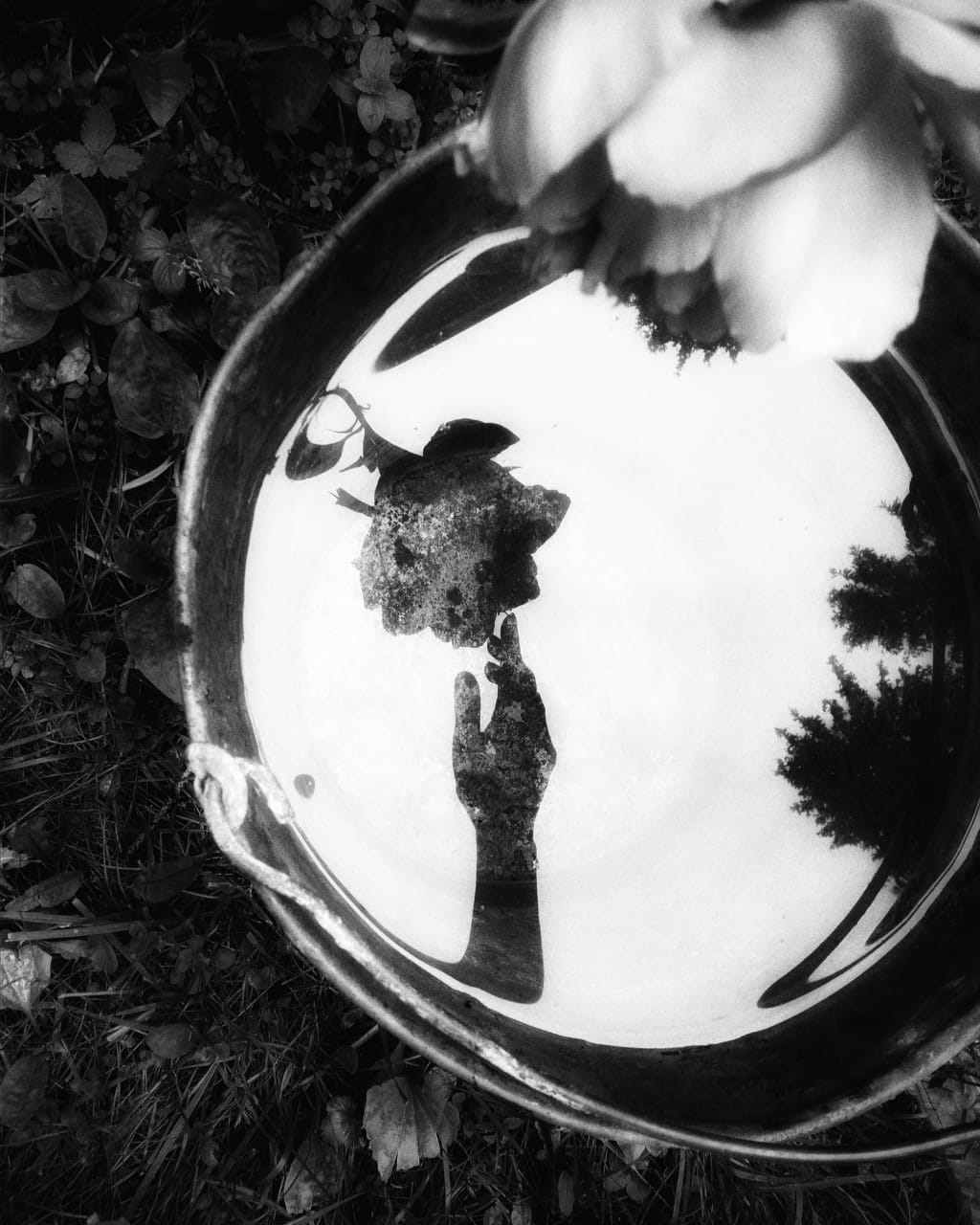 Обучение. Фотокоуч Катерина Каледина