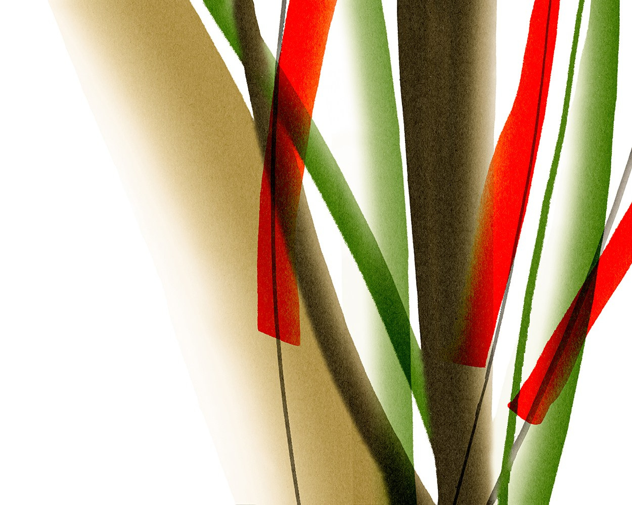 Красно-зеленый постер для интерьера