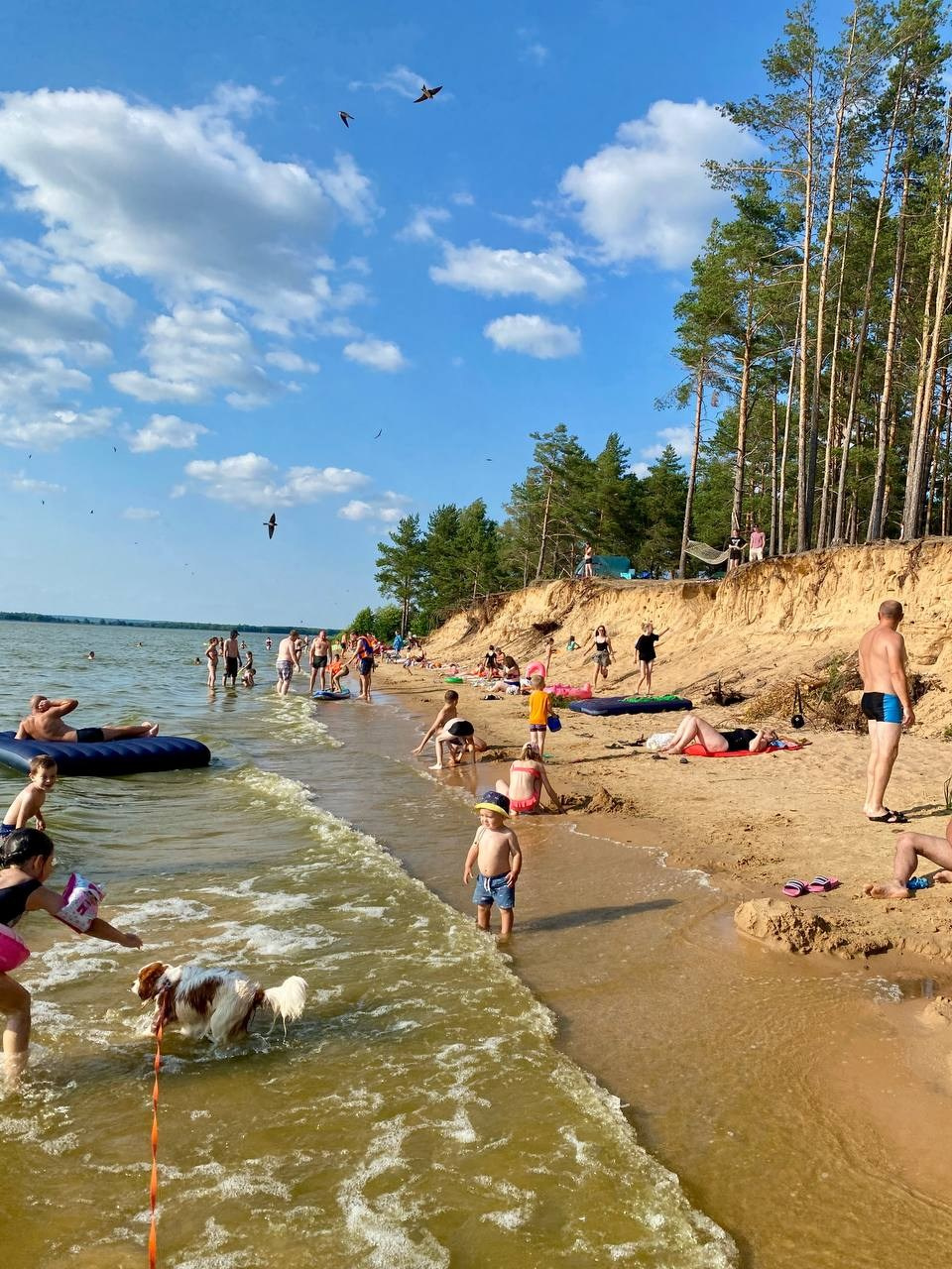 Территория. Добро пожаловать в Кемпинг — уникальное место для отдыха на лоне природы!