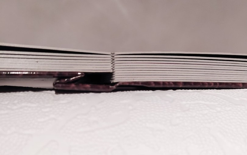 Времена года. Fotounata.ru