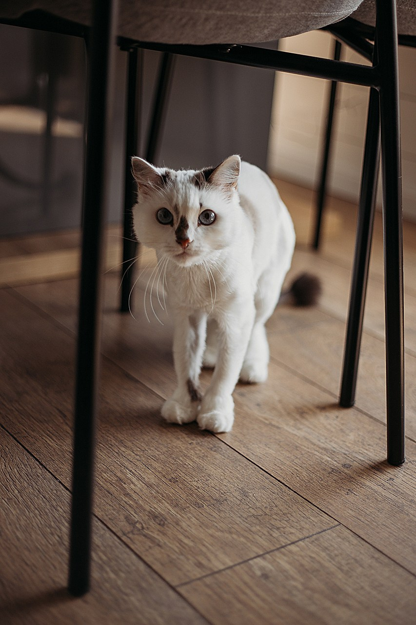 Евгений Мария и маленькая Ева. Фотограф твоего состояния Татьяна Платонова в Иркутске и на Байкале