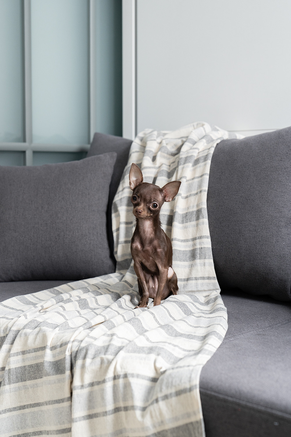 Кварталы 21-19 (фото+3d). Дизайн интерьера, от проекта до реализации