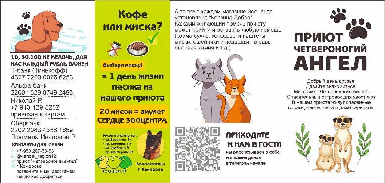 Приют четвероногий АНГЕЛ. Фотограф 📸 семейный, предметный, репортажный