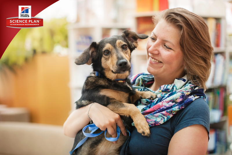 Фотосъёмка для компании Hill`s (2017, перенос со старого сайта). Фотограф собак, фотограф-анималист Аня Титова (Titanya). Москва