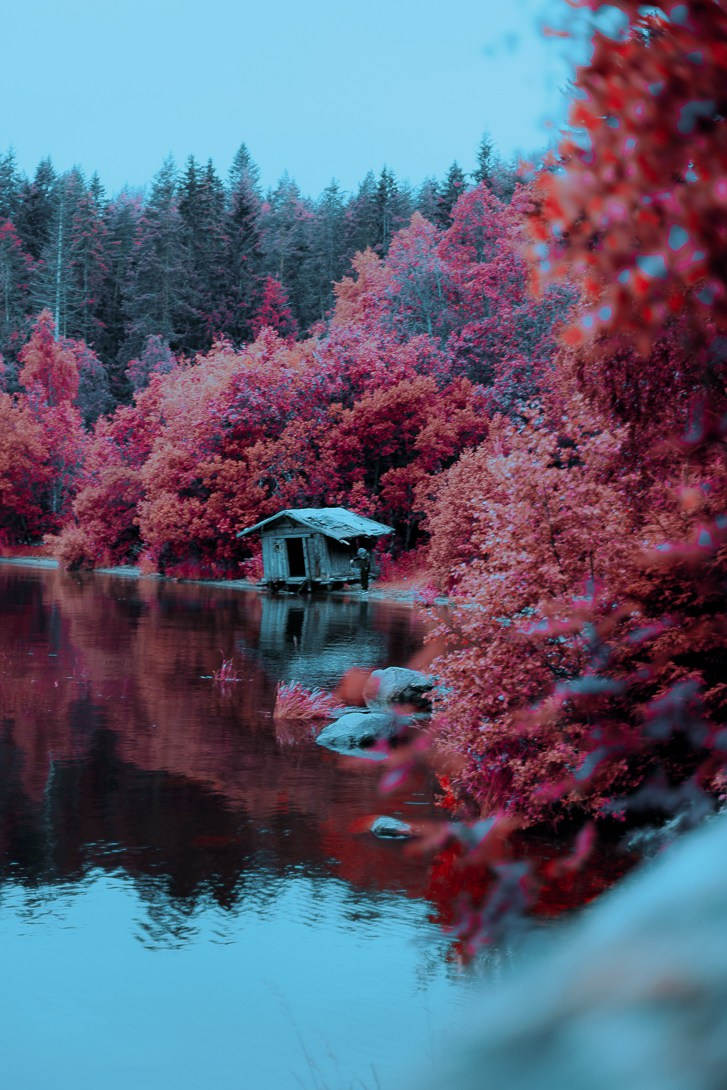 Постер. Lisphoto.ru