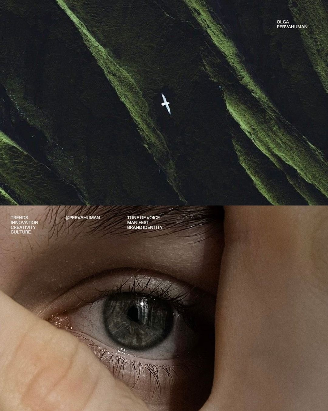 Оформление. Главная