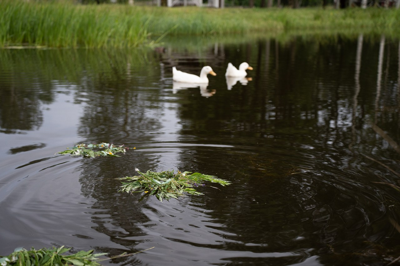 Иван Купала. Ecobelovo. Фотограф Мария Ковкова