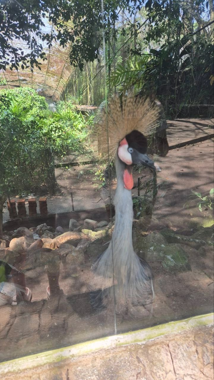 Шри-Ланка | 31.01 — 10.02.2025. Галерея Фантим