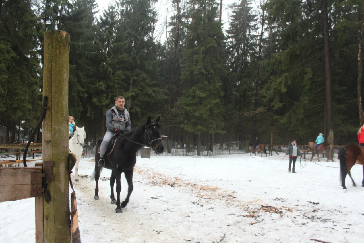 Лошадинг | 01.03.2015. Галерея Фантим