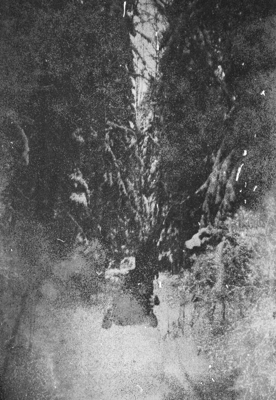 Татьяна Белякова — Фотохудожник | Концептуальная аналоговая фотография