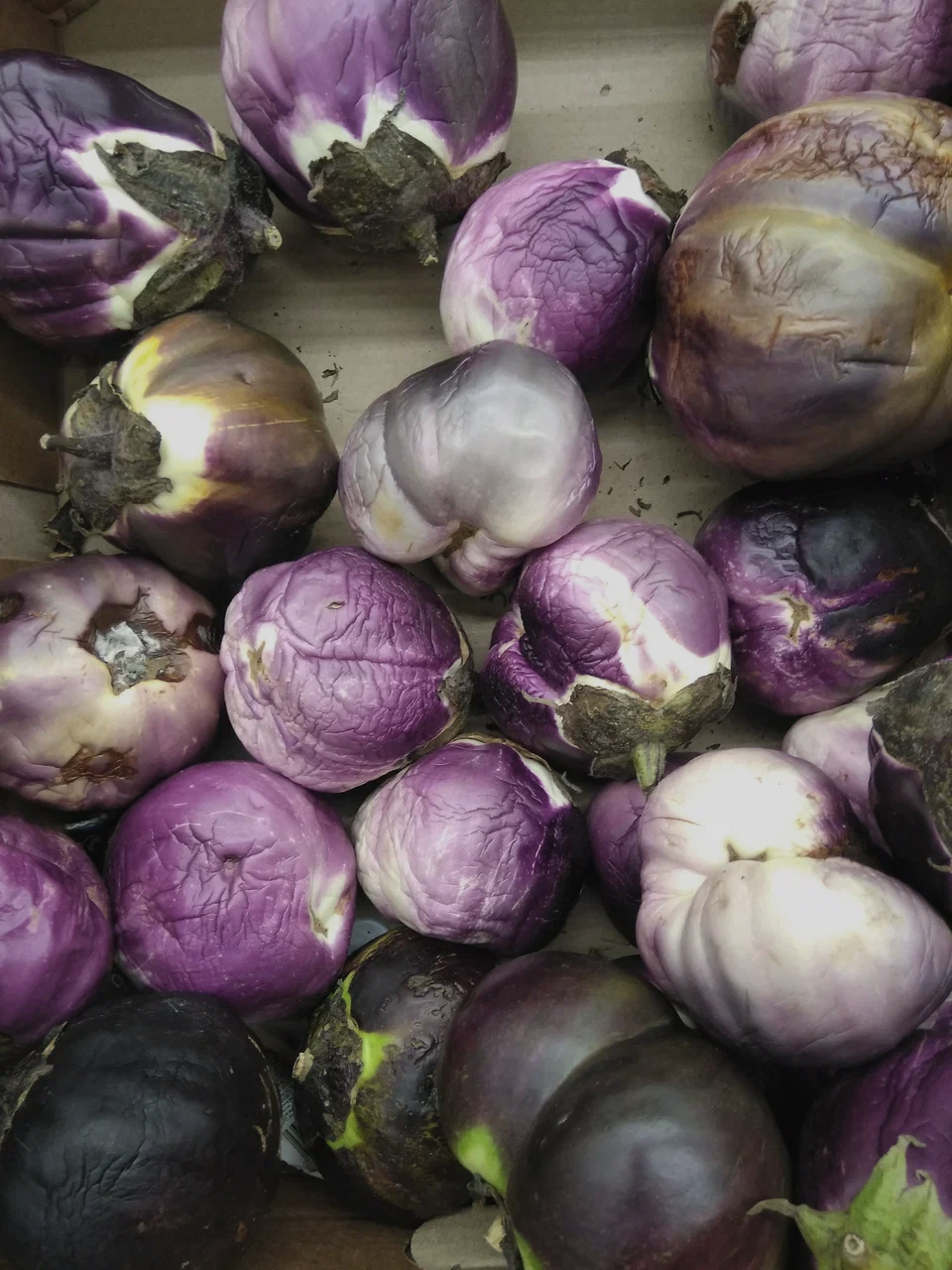 Аня Зайцева «Видимое-невидимое». Private image