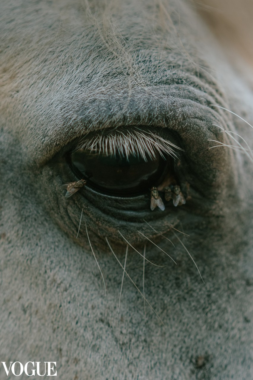 Vogue. Портретный фотограф в Самаре Анна Силютина