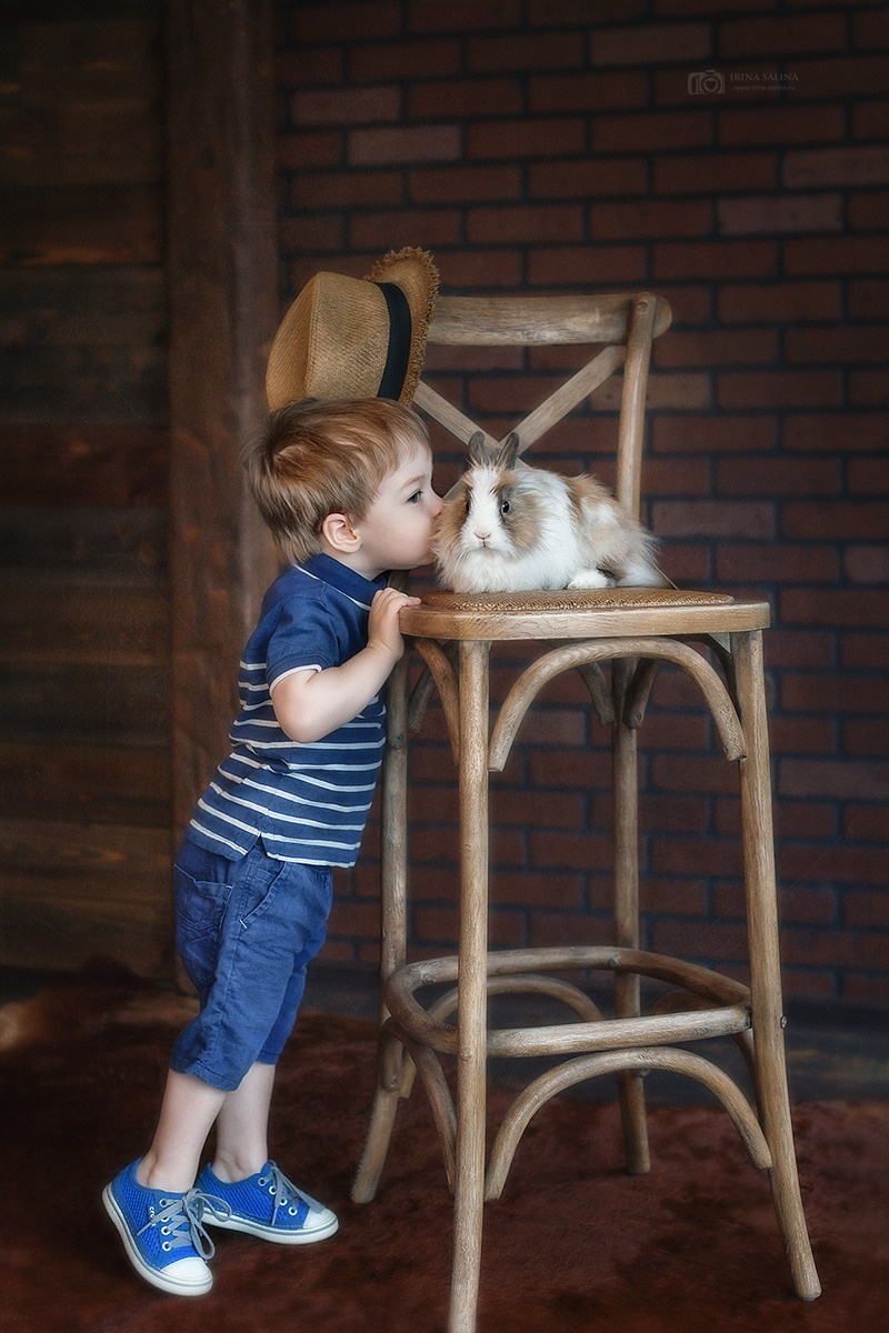 Съемка в животными