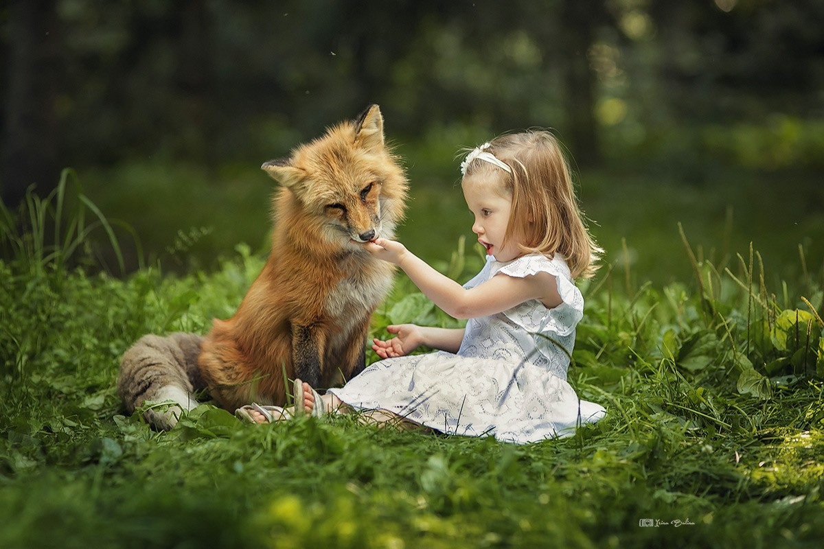 Съемка в животными