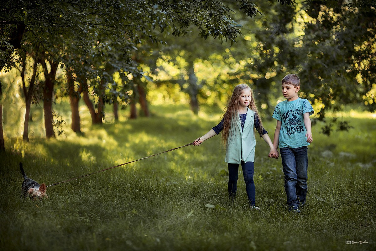 Съемка в животными