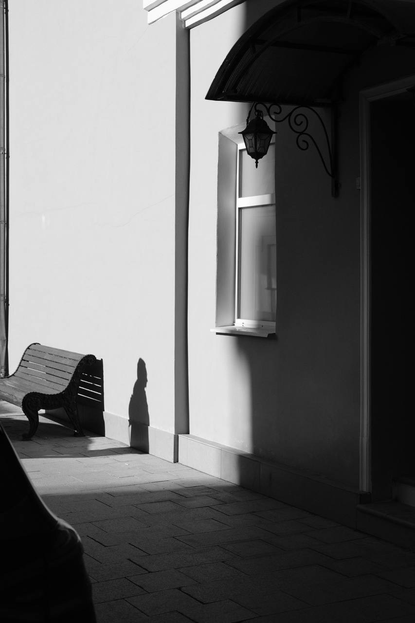 Автор: Дарья Пронина