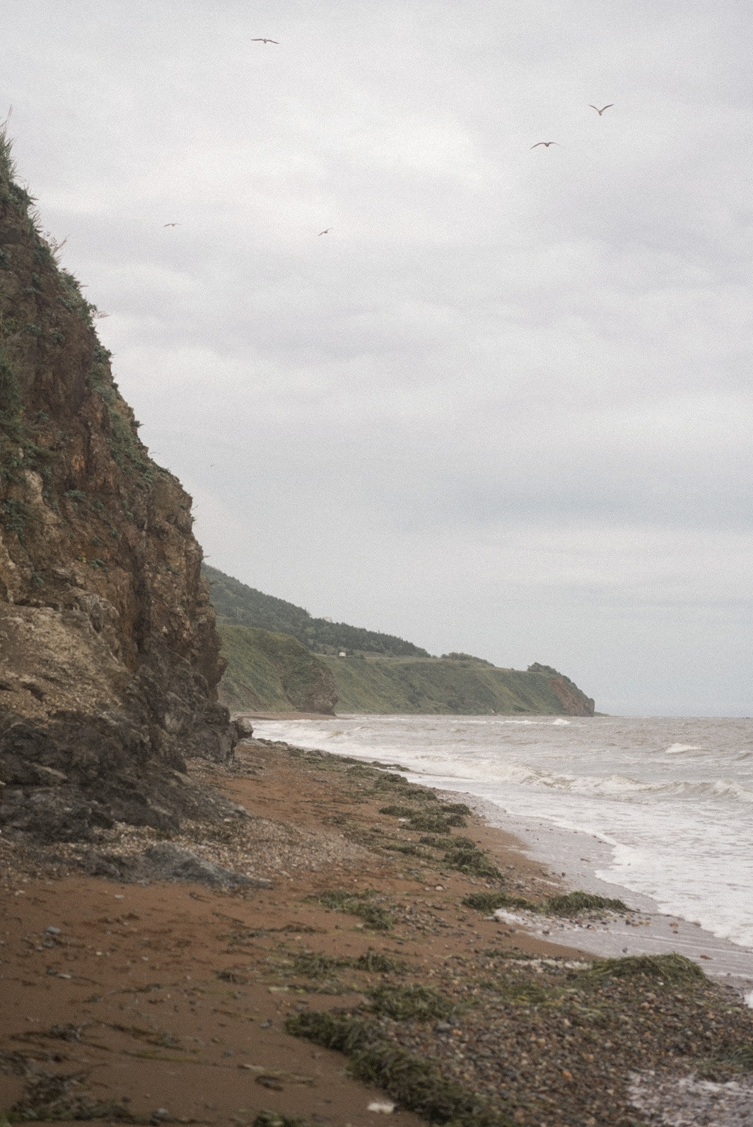 Алена с Маргаритой: Сахалинское море. Фотограф в Анапе Надежда Соловьёва