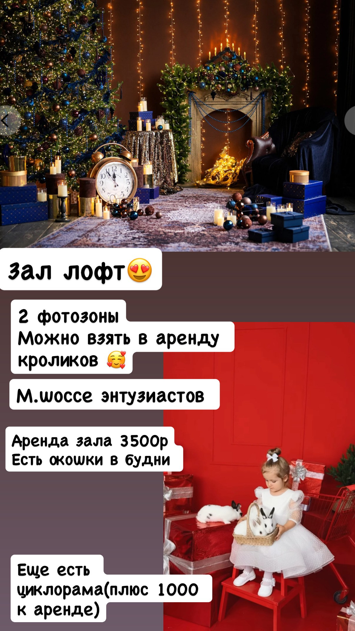 Новогодние залы. Женский и семейный фотограф в Москве- Ольга Самусенко