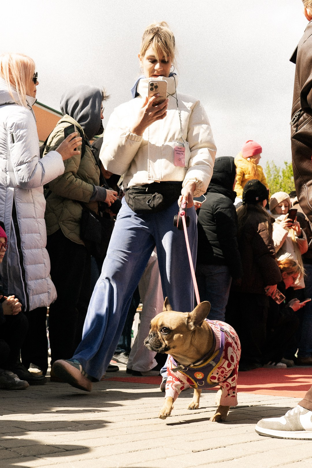 Парад Бульдогов. Axenov_eugene