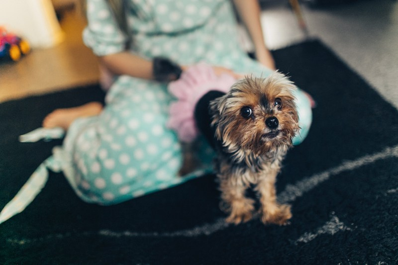 Ярик и Ева. Свадебный фотограф в Москве — Павел Воронцов