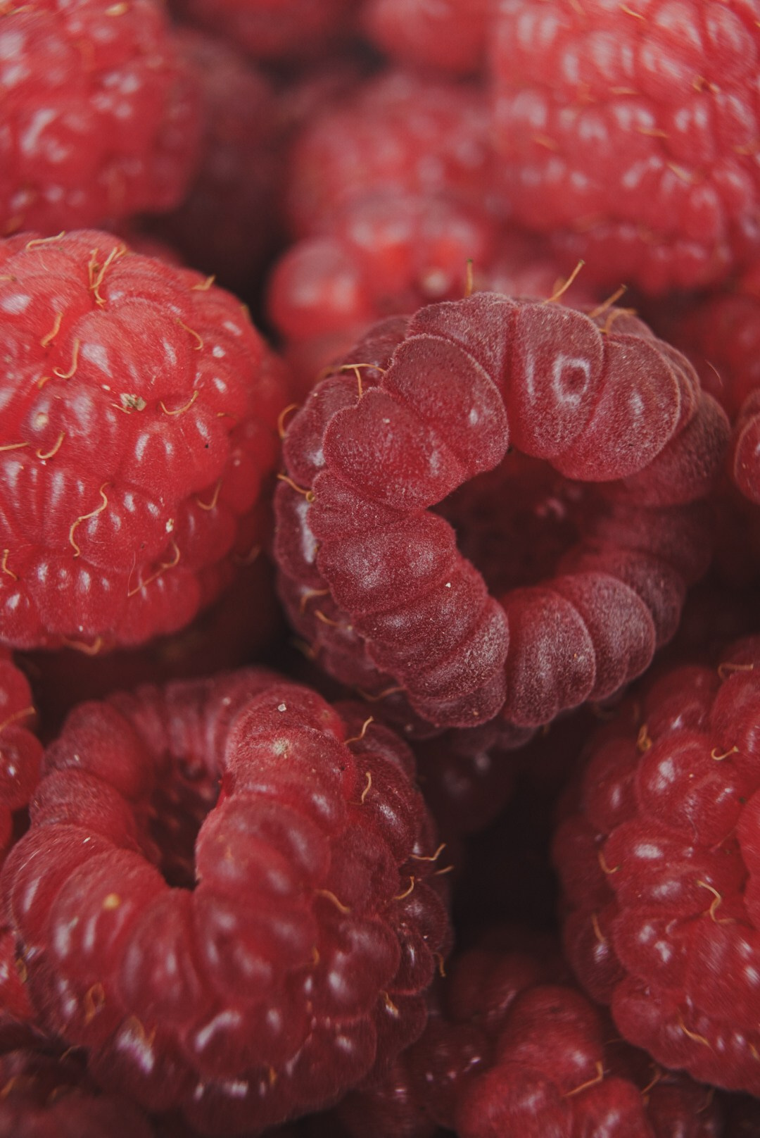 Вкусная еда, красивые натюрморты и природа. Предметный фотограф Санкт-Петербург