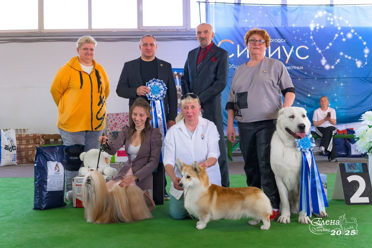 Отзывы. Фотограф анималист Елена Галдина г. Красноярск