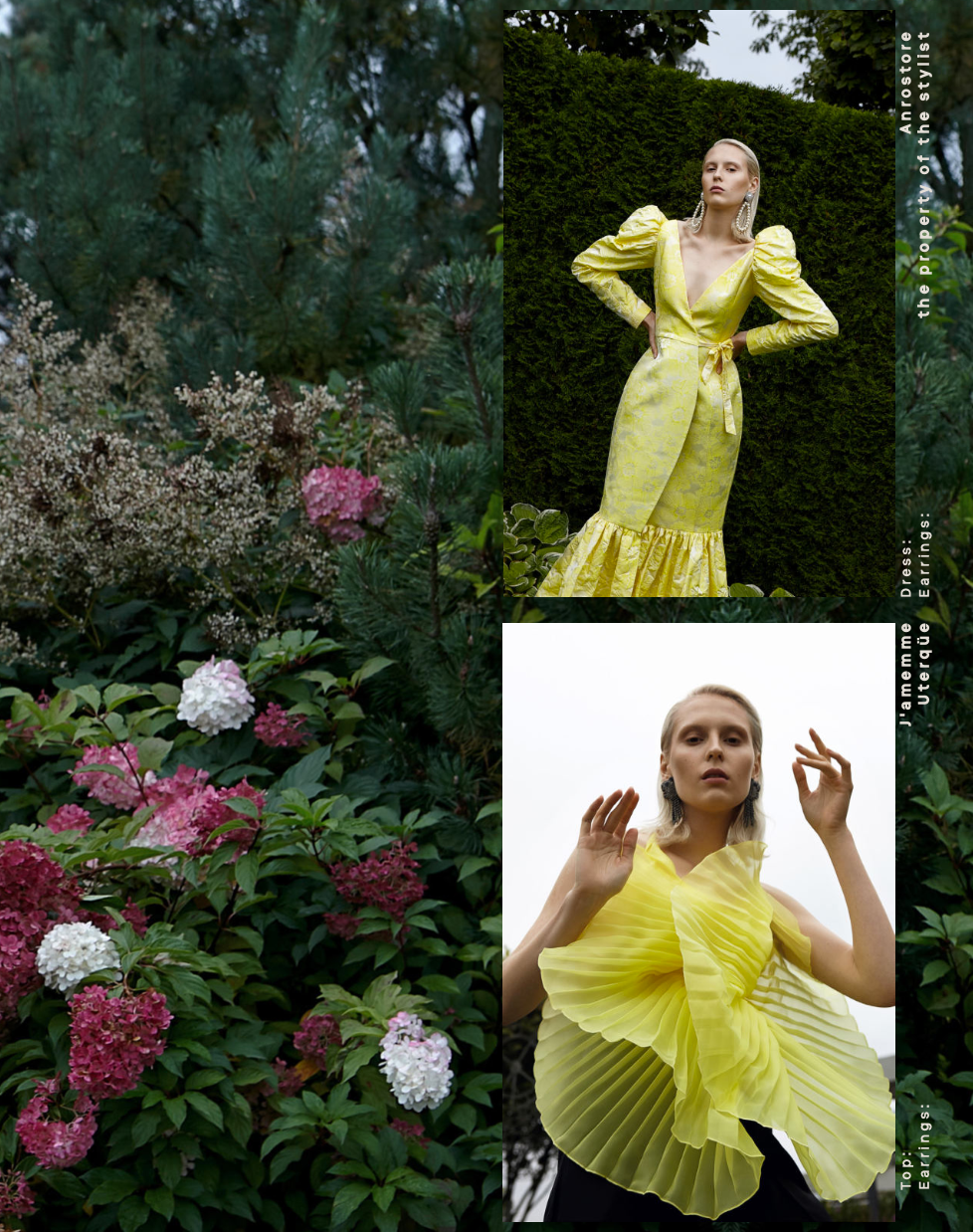 Purplehaze. Главная