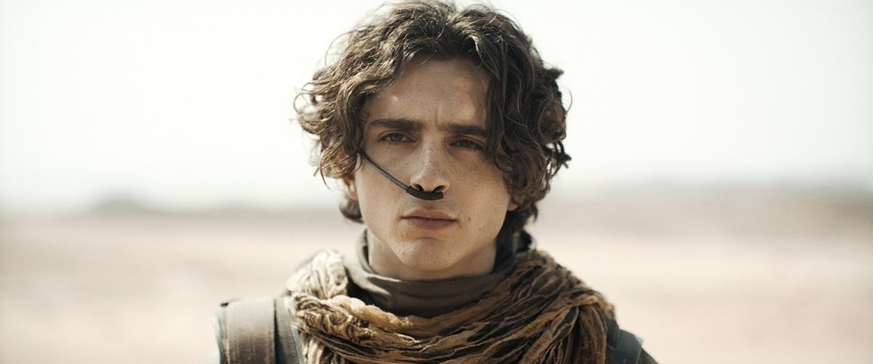 Color Theory. TENZO | Creative Producer / Art Director