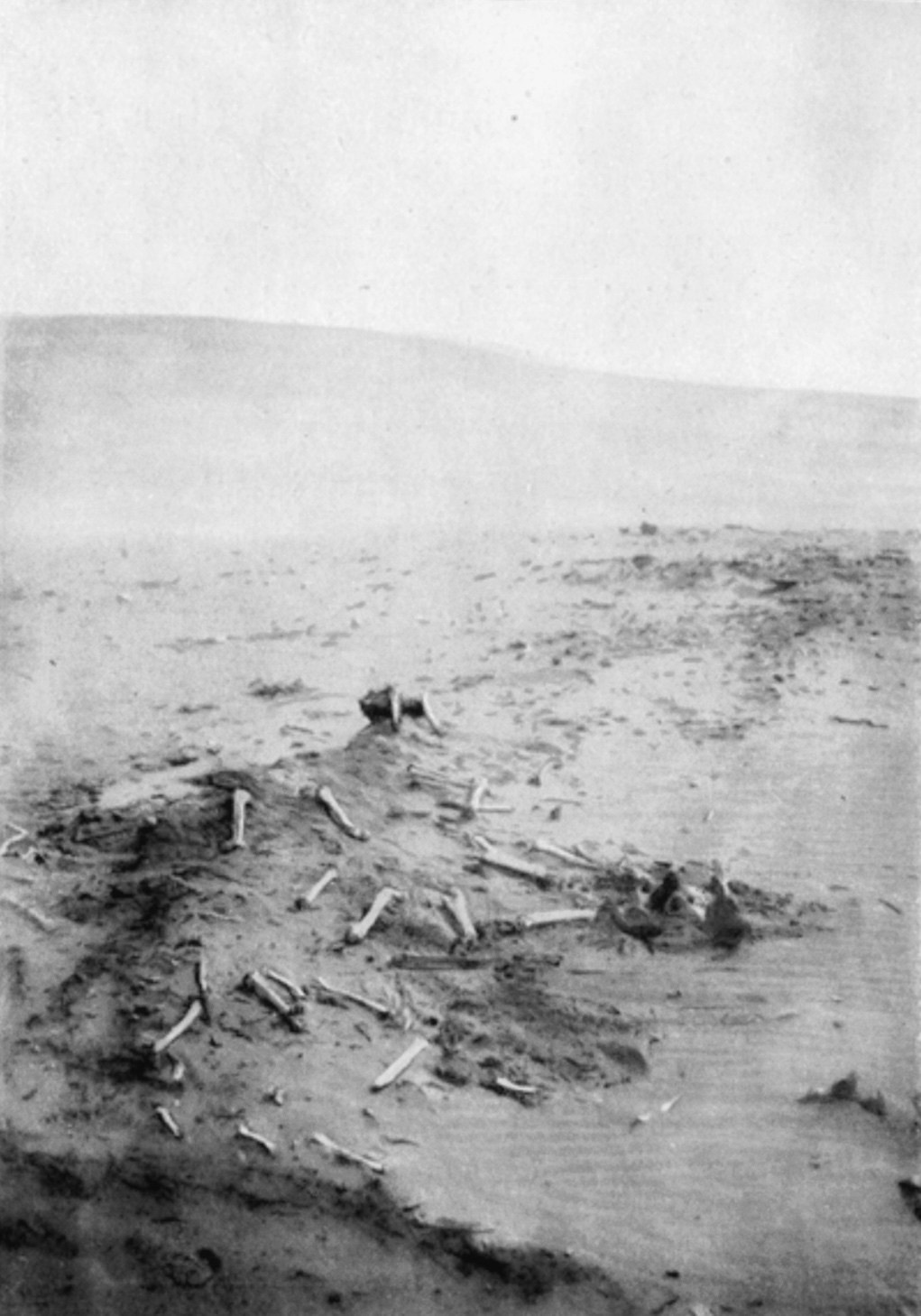 ОДИН СТУЛ, МНОГО СТУЛЬЕВ. Художественная группа «Нежные Бабы»