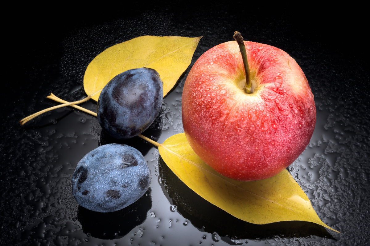 Художественный натюрморты, авторский стиль. Устремляясь ввысь… (фото от автора с ником Tom Fincher)