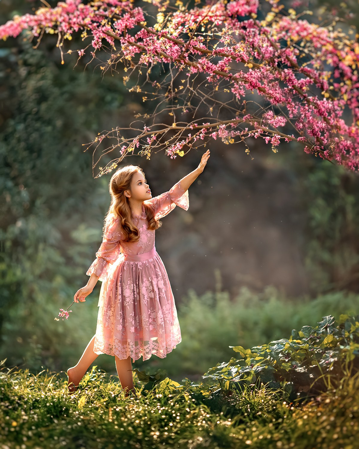 График предстоящих мероприятий. Детский и семейный фотограф Елена Михайлова в Москве