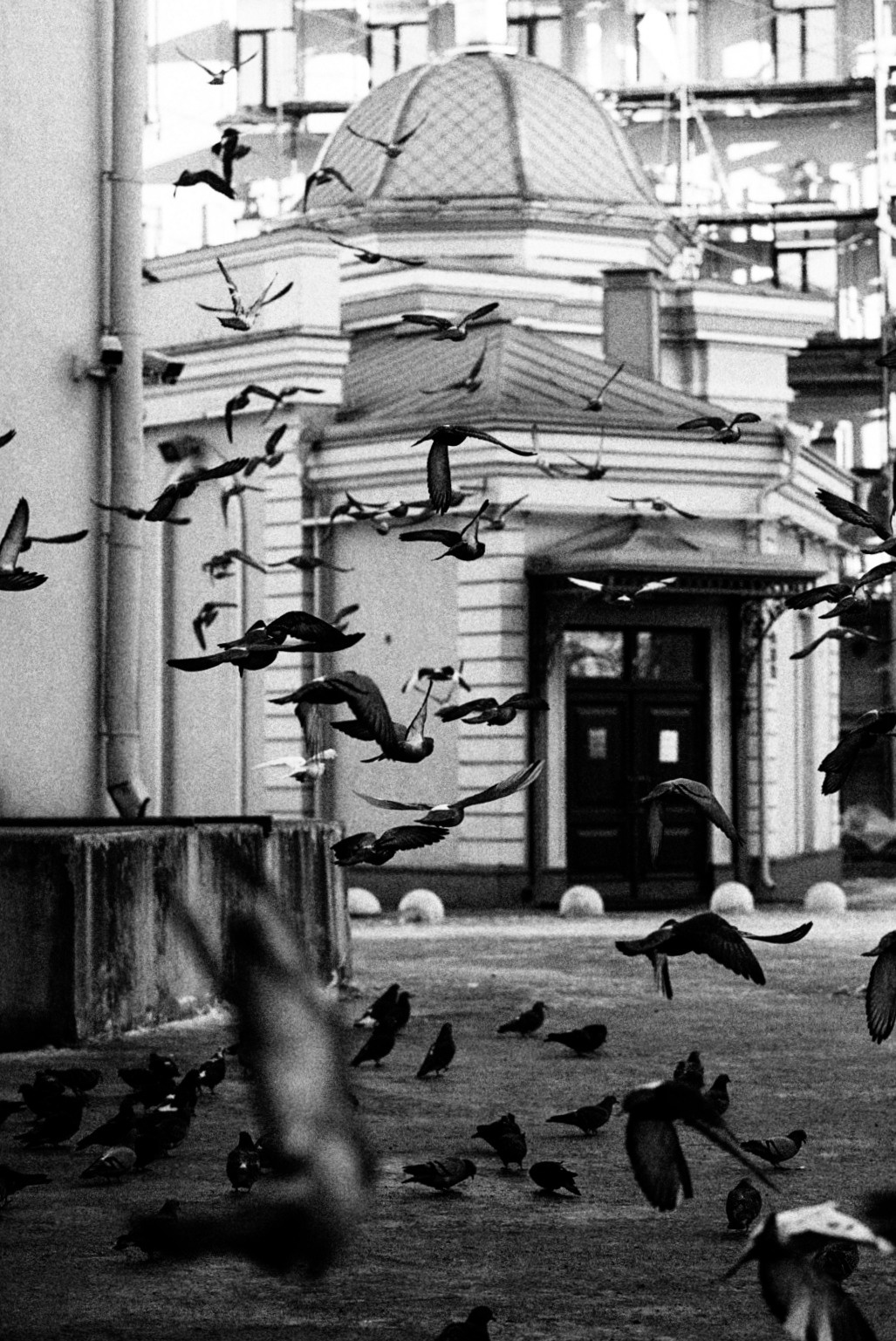 Стрит/Репортаж. May the numbers guide us