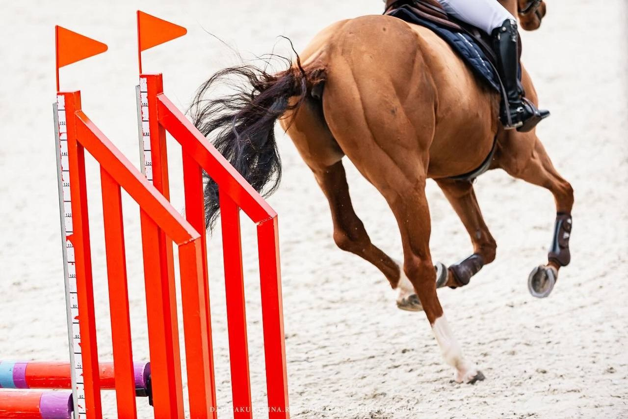 Открытый Кубок КСК «Дивный» по конкуру. Конный фотограф Куракина Дарья • Фотосессии с лошадьми