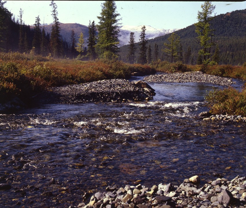 Саяны. ВАДИМ ГИППЕНРЕЙТЕР — ВЕЛИКИЙ ФОТОГРАФ ЗЕМЛИ РУССКОЙ