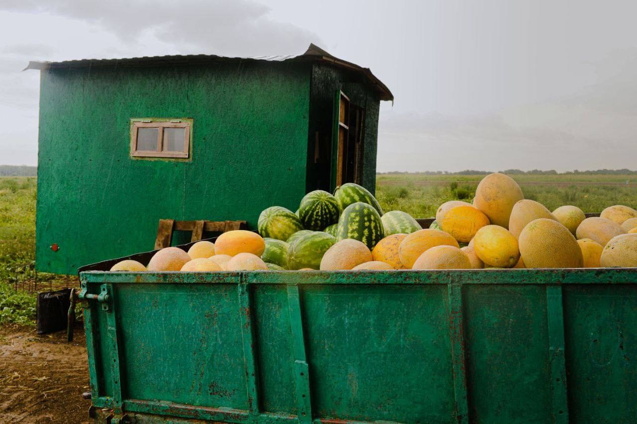 Фотопроект «ФЭТ: Фотография, Эстетика, Творчество»