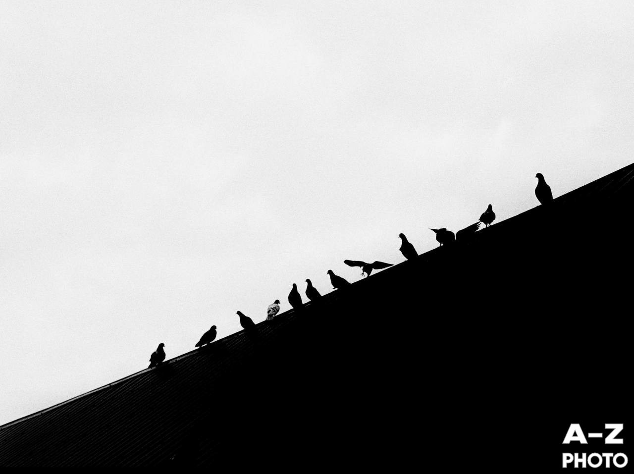 #ФОТОНЕДЕЛИ 23.03.2026. Женский семейный фотограф Тула Москва Захарова Анна