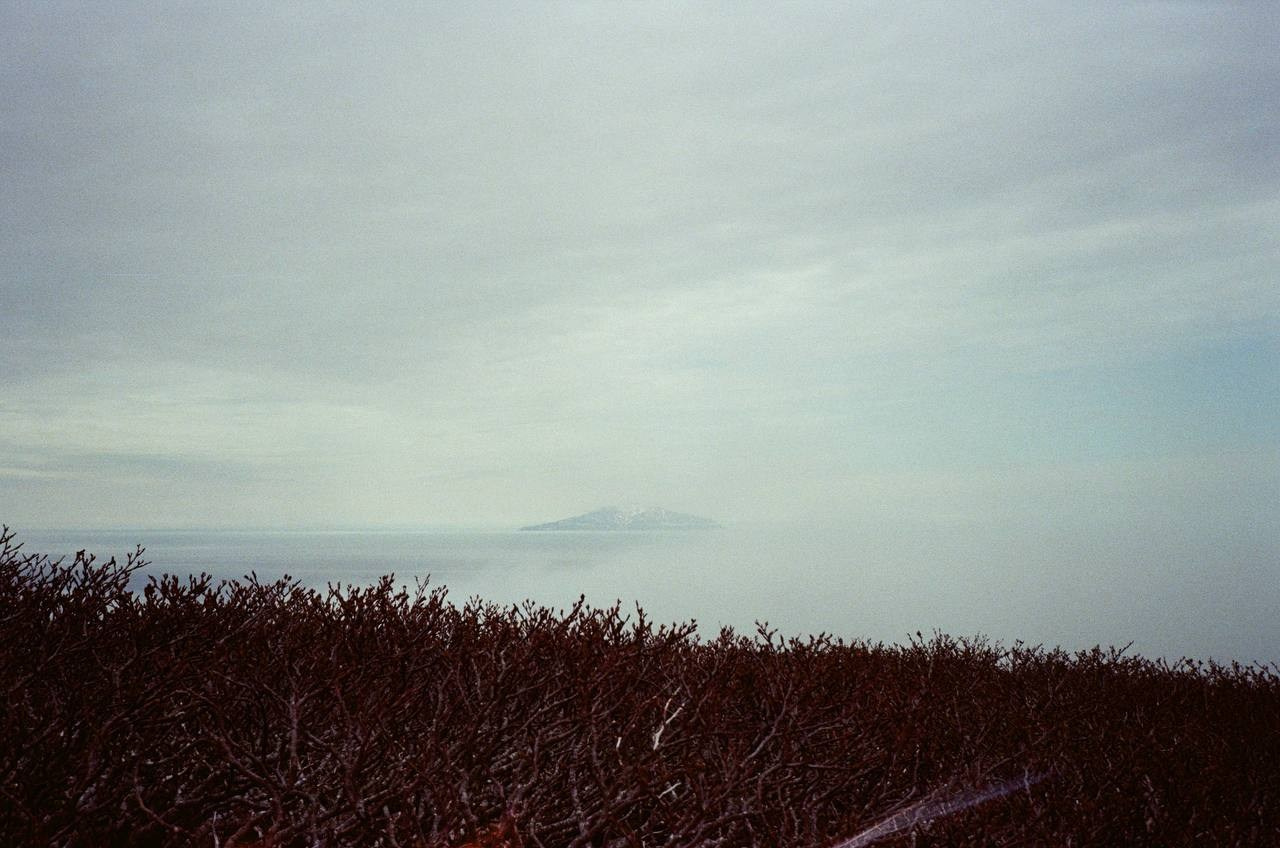 Film. Ольга Лончакова, фотограф, режиссер