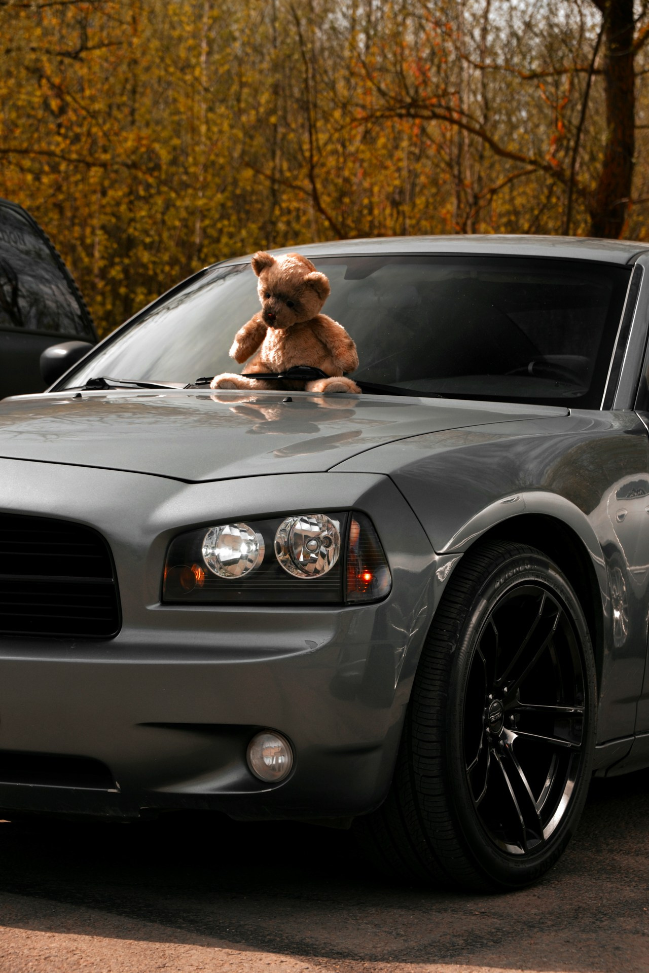 АВТОМОБИЛИ — МЕРОПРИЯТИЯ. Фотограф в Москве — Олег Штыканов