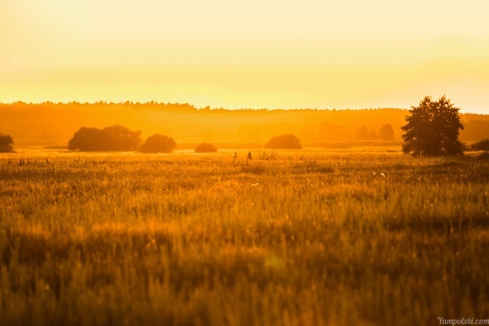 Путешествия. Фотограф Александр Ямпольский