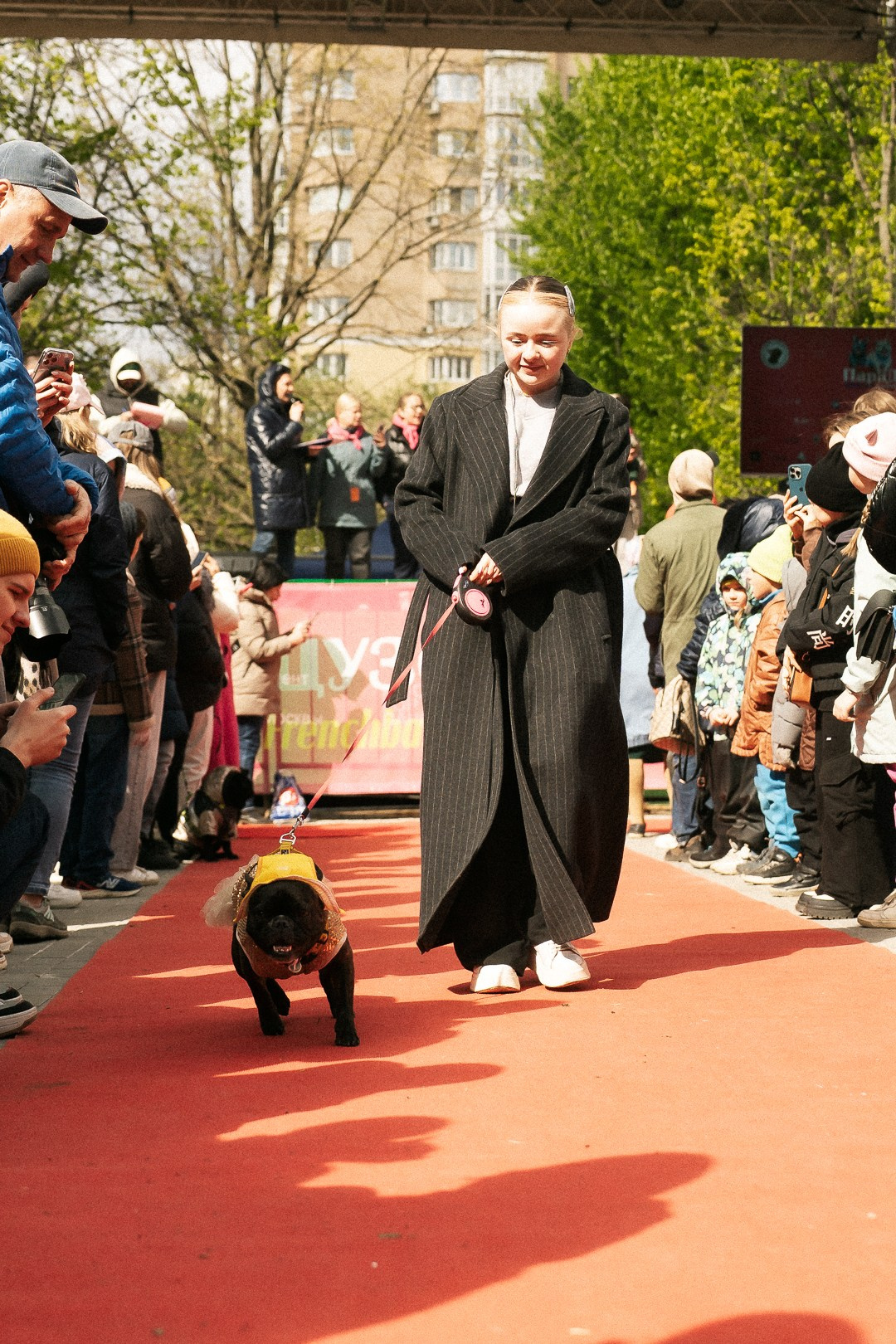 Парад Бульдогов. Axenov_eugene