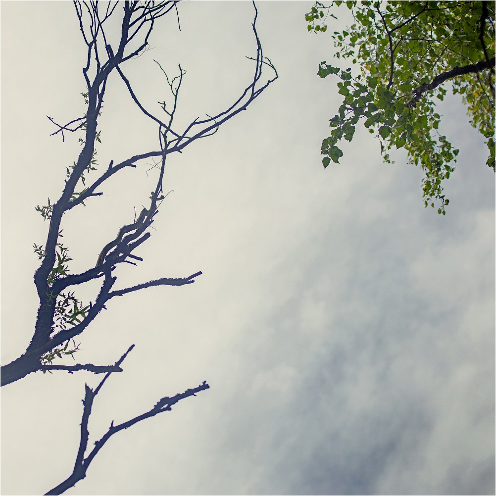 Бесчеловечно. натюрморт. пейзаж. Мастерская Демченко