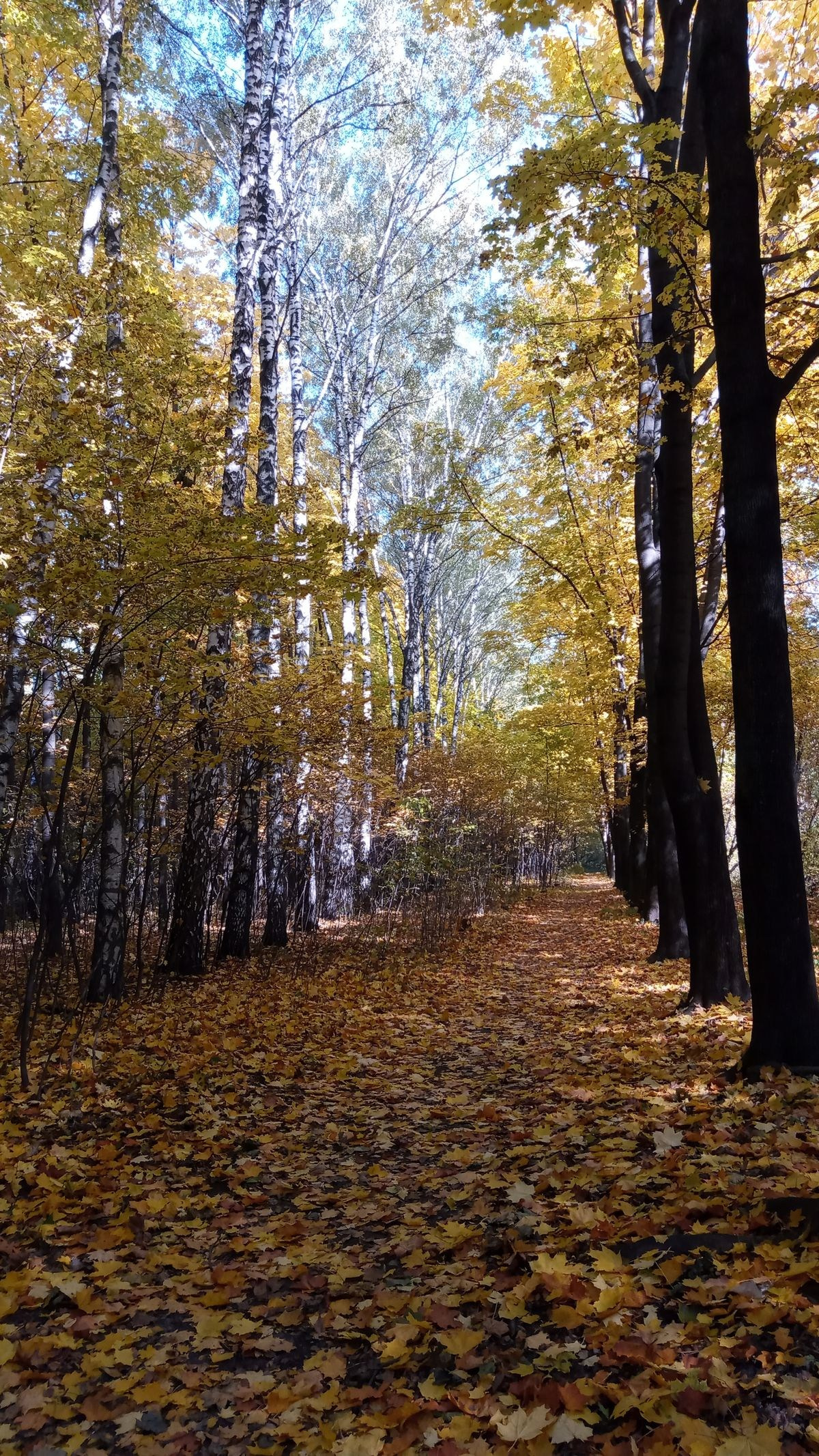 Энергия прогулки. Михаил Гапеев — Корпоративные подарки и сувенирная продукция с логотипом в Москве