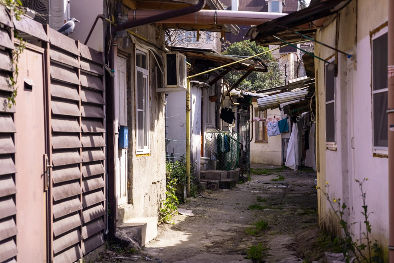 Сочи 2025. Фотограф Михаил Олейник